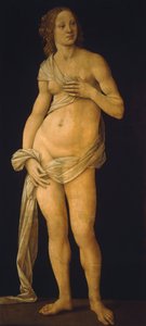 Venus av Lorenzo di Credi