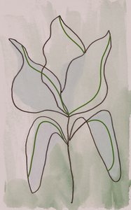 Minimalistisk botanisk skiss av Lori Ann Folz