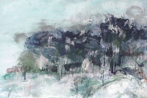 Dimmig vinterskog