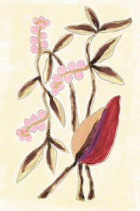 Pink Berry Botanicals av Lori Ann Folz