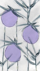Lila botaniska frukter