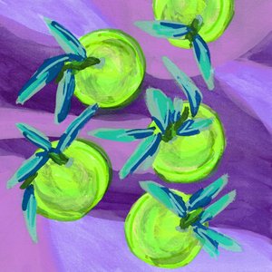Ljusa gröna limefrukter av Lori Ann Folz