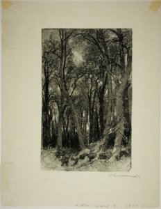 Vinter: Bas-Bréau