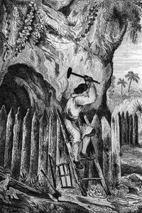 Jag planterade tio rader med palissader. gravyr efter M. de Sainsons teckning till Daniel Defoes bok (De foe) “Robinson Crusoe”” fransk upplaga från 1837.