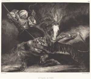 Tigerattack