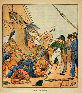 Illustration af Bombled Louis (1862-1927) fra bogen "The Memorial of St. Helene" af Grev Emmanuel de Las Cases (1766-1842): Kejser Napoleon overværer fangsten af en haj ombord på Northumberland, Private Collectionswed av Louis Charles Bombled