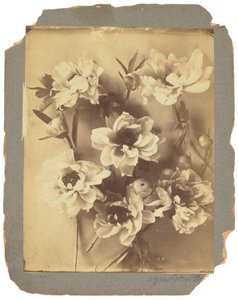 Tiffany Studios, ca 1898-1920 (fotografi s/v) av Louis Comfort Tiffany