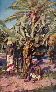A Banana Plantation, Fiji (färg litho)