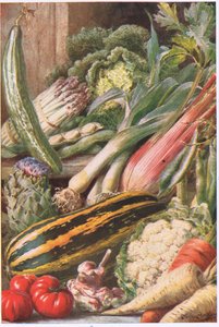 Trädgårdsgrönsaker, illustration från 