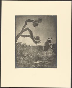 Apache-dans