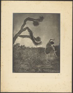 Apache-dans av Louis Fleckenstein