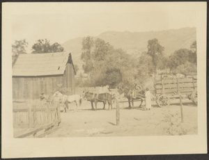 [Barnyard Scene] av Louis Fleckenstein