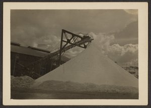 [Borax Mill, Trova, CA] av Louis Fleckenstein