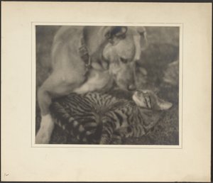 [Katt och hund] av Louis Fleckenstein