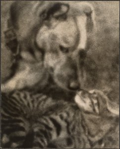 [Katt och hund] av Louis Fleckenstein