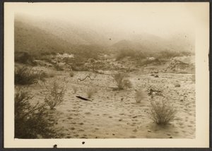 [Coyote Canyon] av Louis Fleckenstein