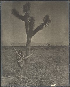 [Dansare vid Joshua Tree] av Louis Fleckenstein