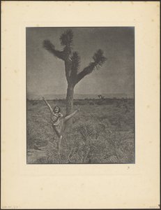 [Dansare vid Joshua Tree] av Louis Fleckenstein