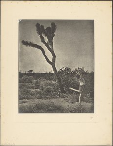 [Dansare vid Joshua Tree] av Louis Fleckenstein