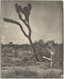 [Dansare vid Joshua Tree] av Louis Fleckenstein