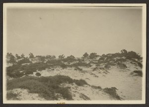 [Dunes] av Louis Fleckenstein