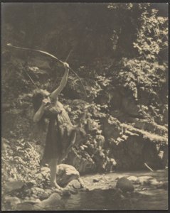 [Kvinnlig bågskytt i skogen]