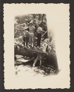 [Figurer i skogen] av Louis Fleckenstein