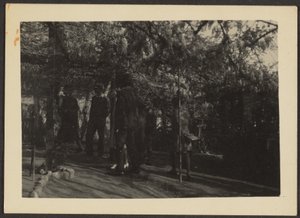 [Figurer i skogen]