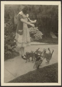 [Florence och katter] av Louis Fleckenstein