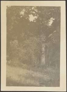 [Landskap] av Louis Fleckenstein