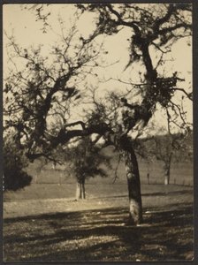 [Landskap] av Louis Fleckenstein