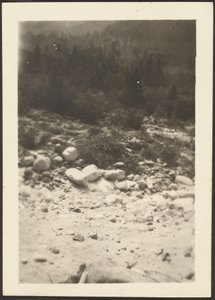 [Landskap] av Louis Fleckenstein