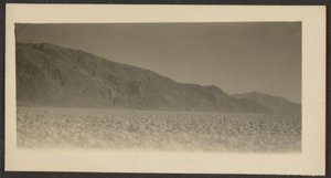 [Landskap] av Louis Fleckenstein