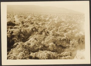 [Landskap] av Louis Fleckenstein