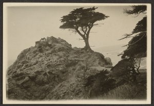 [Landskap med ensam cypress] av Louis Fleckenstein