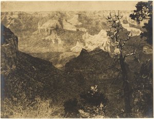 [Bergslandskap med barrträd] av Louis Fleckenstein