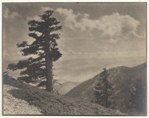 [På åsen till Old Baldy] av Louis Fleckenstein