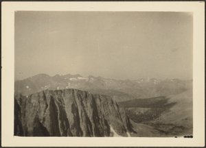 [Sequoia Park] av Louis Fleckenstein