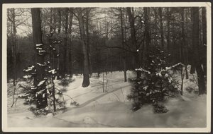 [Snöigt landskap] av Louis Fleckenstein