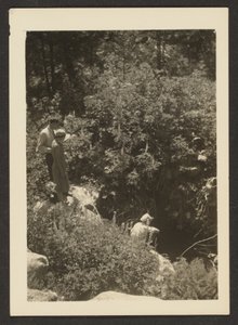[Våren i Fern Valley] av Louis Fleckenstein
