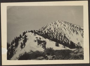 [Telescope Peak] av Louis Fleckenstein
