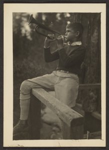 Törnnebb av Louis Fleckenstein