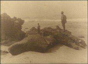 [Tre män som fiskar från klipporna på stranden] av Louis Fleckenstein