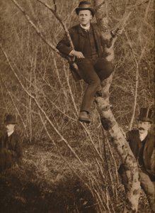 Man satt i ett träd, 1937