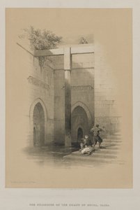 Egypten och Nubien, Volym III: Nileometern. Ön Rhoda av Louis Haghe
