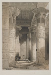 Egypten och Nubien, Volym I: View Under the Grand Portico of the Temple, Philae av Louis Haghe