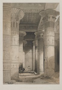 Egypten och Nubien, Volym I: View Under the Grand Portico of the Temple, Philae, 1846. av Louis Haghe