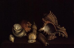 Stilleben av snäckor på en avsats, 1600-talet av Louis Hubner