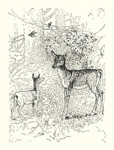 Faunan och hans mor (litografi) av Louis John Rhead