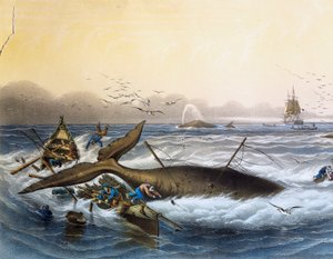 Whaling in South Seas, färglitografi av Louis Lebreton (död 1866)